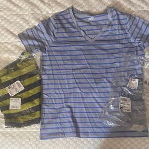 2 Lands' End Blue Striped V-Neck Tee 100% cotton - never worn- u get both NWT